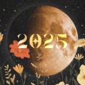Calendário Lunar 2025: datas e fases da Lua em cada signo
