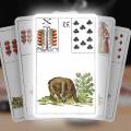 Carta 15 do Baralho Cigano: O Urso