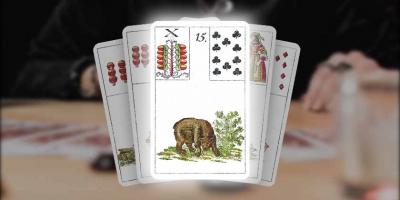 Carta 15 do Baralho Cigano: O Urso