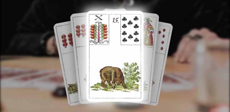 Carta 15 do Baralho Cigano: O Urso