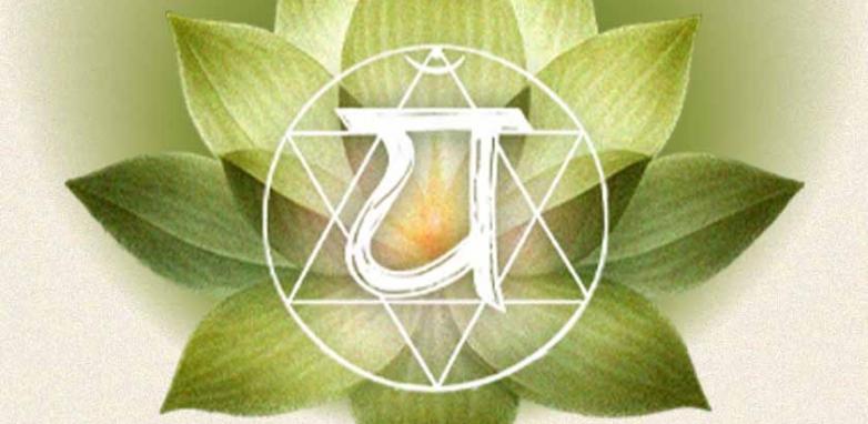 Chakra Cardíaco: o que é Anahata, sinais e como equilibrar